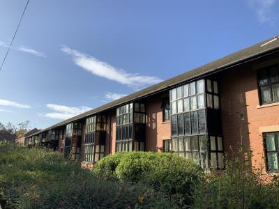External